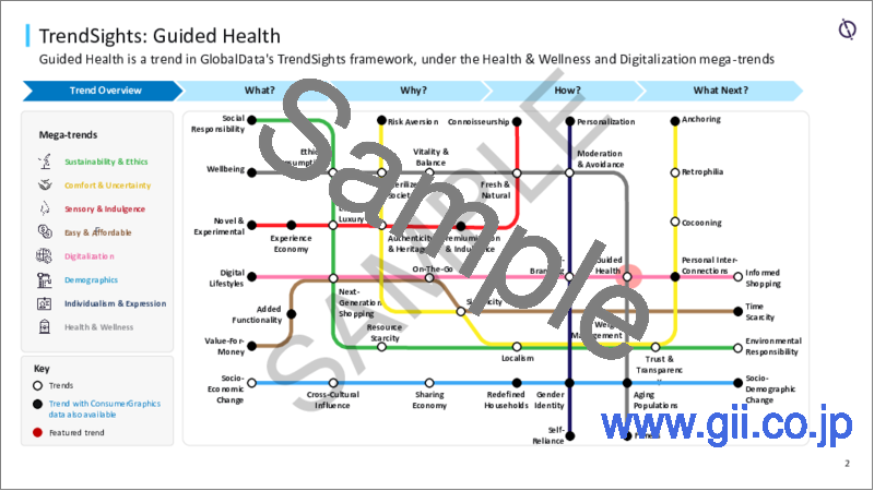 サンプル1：ガイド付き健康法- 消費者動向分析、2023年