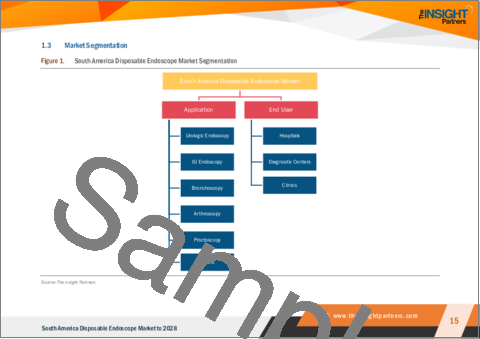 サンプル1：南米の使い捨て内視鏡市場の2028年までの予測-地域別分析：用途別、エンドユーザー別