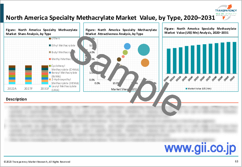 サンプル2：特殊メタクリレート市場：世界の業界分析、規模、シェア、成長、動向、予測、2023年から2031年