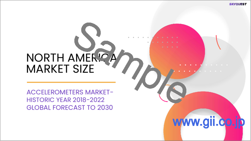 サンプル2：加速度計の世界市場 (2023-2030年)：タイプ ・用途別の規模・シェア・成長分析・予測