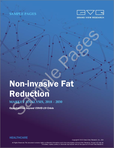 表紙：非侵襲的脂肪除去の市場規模、シェア、動向分析レポート：技術別、最終用途別、地域別、セグメント予測、2023年～2030年