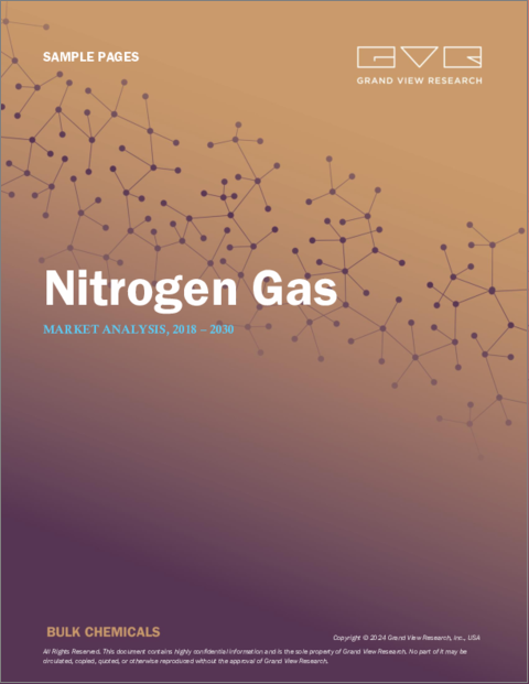 表紙：窒素ガスの市場規模、シェア、動向分析レポート：形態別、用途別、地域別、セグメント予測、2023年～2030年
