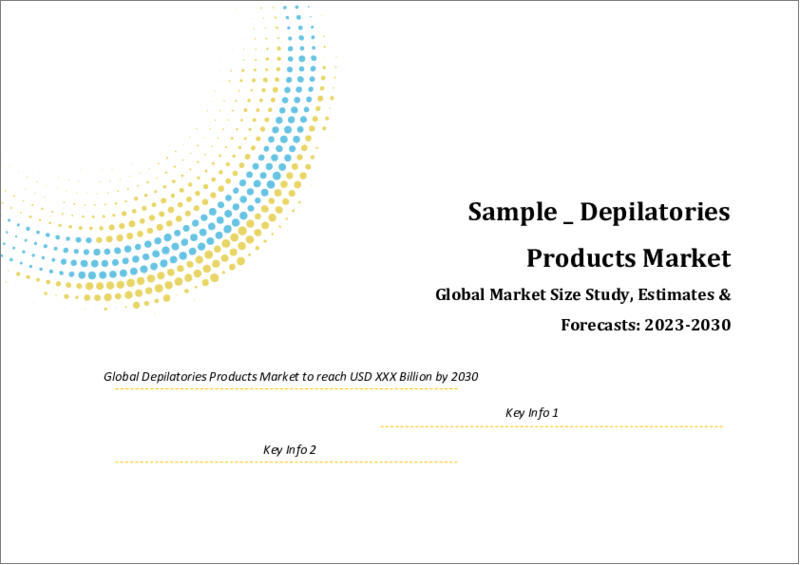 表紙：脱毛製品の世界市場調査＆予測、製品別、エンドユーザー別、地域別分析、2023～2030年
