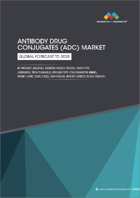 表紙：抗体薬物複合体 (ADC) の世界市場 (～2028年)：製品タイプ ・リンカータイプ ・ペイロードタイプ ・標的・疾患・地域別