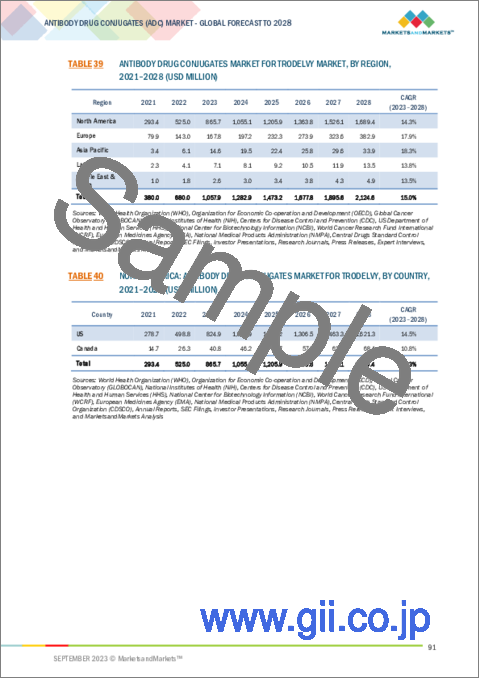 サンプル2：抗体薬物複合体 (ADC) の世界市場 (～2028年)：製品タイプ ・リンカータイプ ・ペイロードタイプ ・標的・疾患・地域別