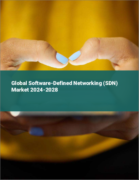 表紙：SDN（ソフトウェア定義ネットワーキング）の世界市場 2024-2028