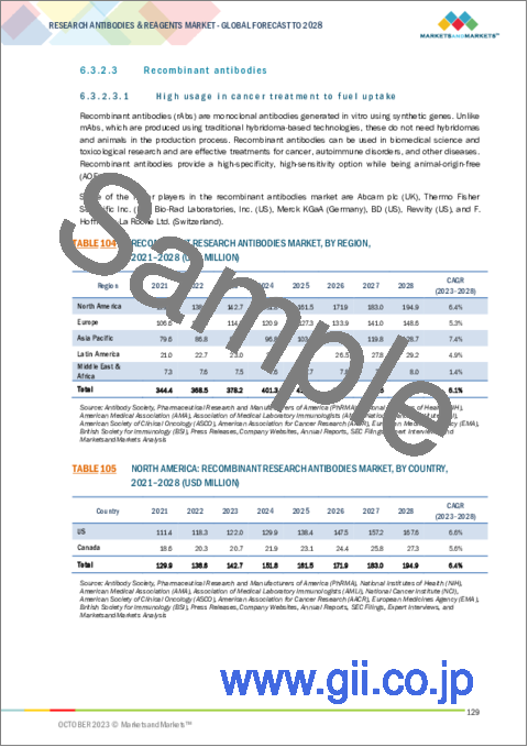 サンプル2：研究用抗体および試薬の世界市場：製品別、技術別、用途別、エンドユーザー別、地域別-2028年までの予測