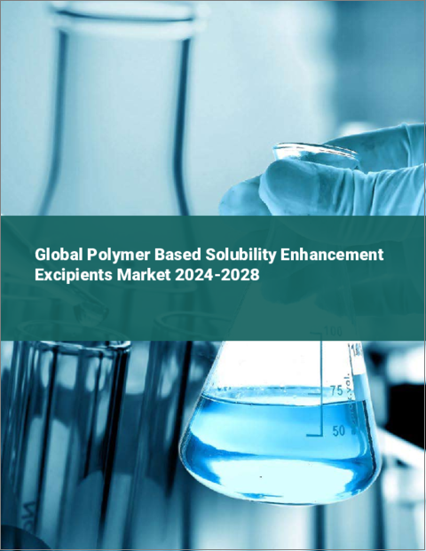 表紙：ポリマー系溶解性向上賦形剤の世界市場 2024-2028