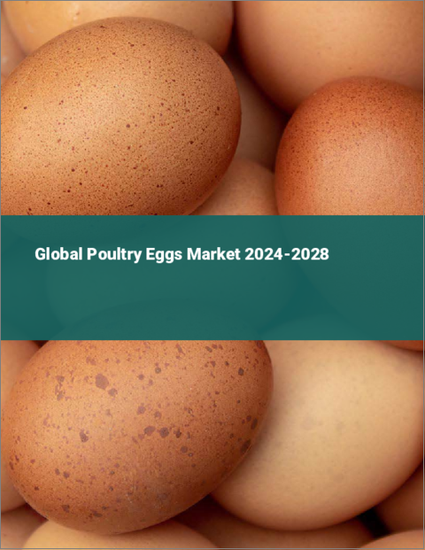 表紙：鶏卵の世界市場 2024-2028