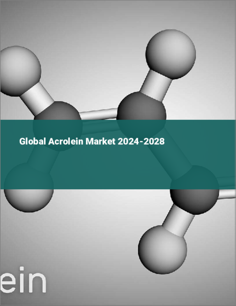 表紙：アクロレインの世界市場 2024-2028