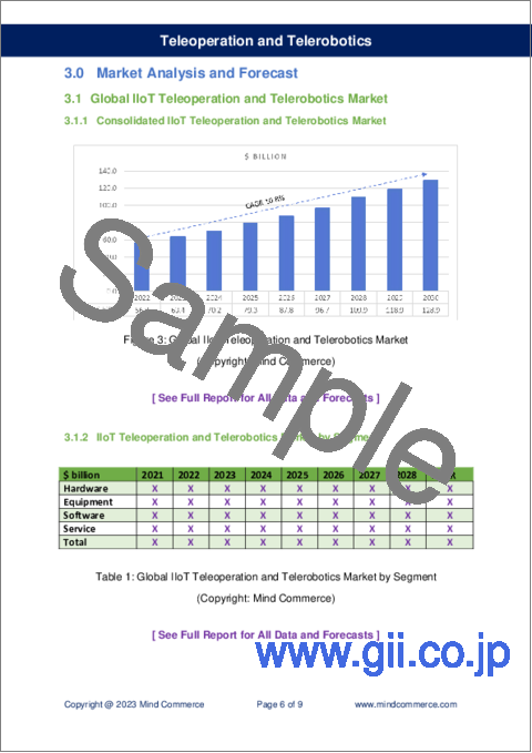 サンプル2：遠隔オペレーションおよび遠隔ロボティクス市場 (2023～2028年)：エンタープライズおよび産業オートメーション向け技術・ソリューション・用途別
