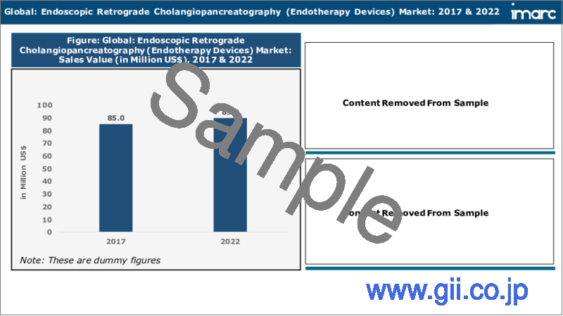 サンプル2：内視鏡的逆行性胆管膵管造影 （ERCP）市場：世界の産業動向、シェア、規模、成長、機会、2023-2028年予測