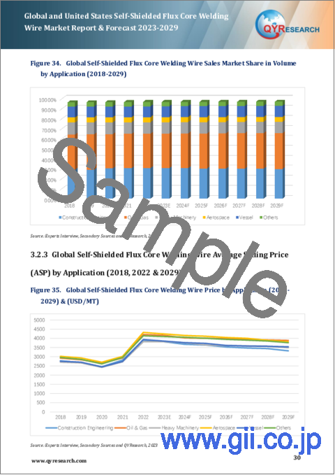 サンプル2：世界および米国の自己シールド型フラックス入りコア溶接ワイヤ市場：2023-2029年