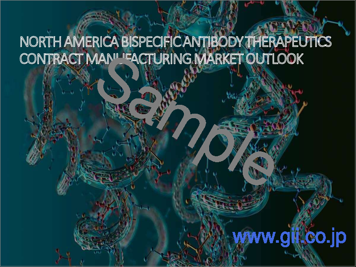 サンプル1：二重特異性抗体治療薬受託製造市場：世界の産業規模、動向、機会、予測、2018～2028年、適応症別、投与経路別、最終用途別、地域別、競合