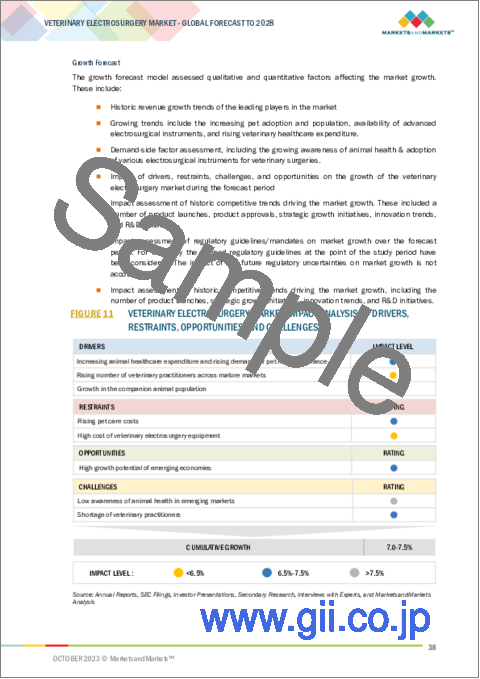 サンプル1：動物用電気手術の世界市場：製品別（バイポーラ、モノポーラ、消耗品）、用途別（一般、婦人科、歯科、整形外科、眼科）、動物タイプ別、エンドユーザー別（動物病院、クリニック）、主要市場関係者＆購買基準、アンメットニーズ - 2028年までの予測