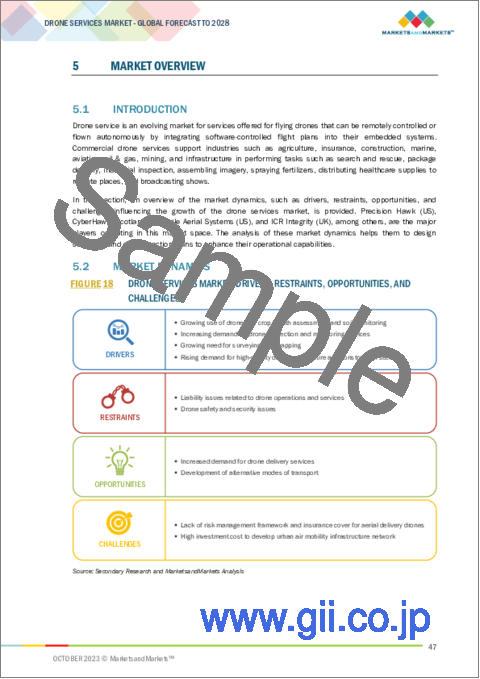 サンプル1：ドローンサービスの世界市場：タイプ別（プラットフォームサービス、MRO、トレーニング・シミュレーション）、用途別、業界別、ソリューション別（エンドツーエンド、ポイント）、地域別-2028年までの予測