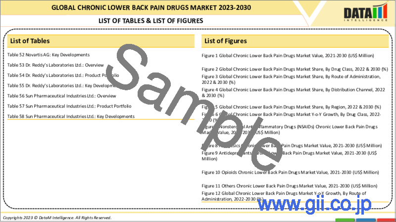 サンプル1：慢性腰痛治療薬の世界市場-2023年～2030年