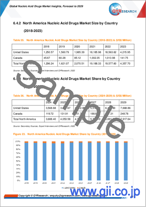 サンプル2：核酸医薬品の世界市場：～2029年