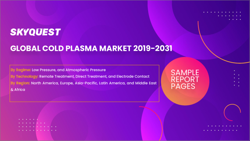 表紙：低温プラズマの世界市場規模、シェア、成長分析：条件別、技術別 - 産業予測（2023年～2030年）