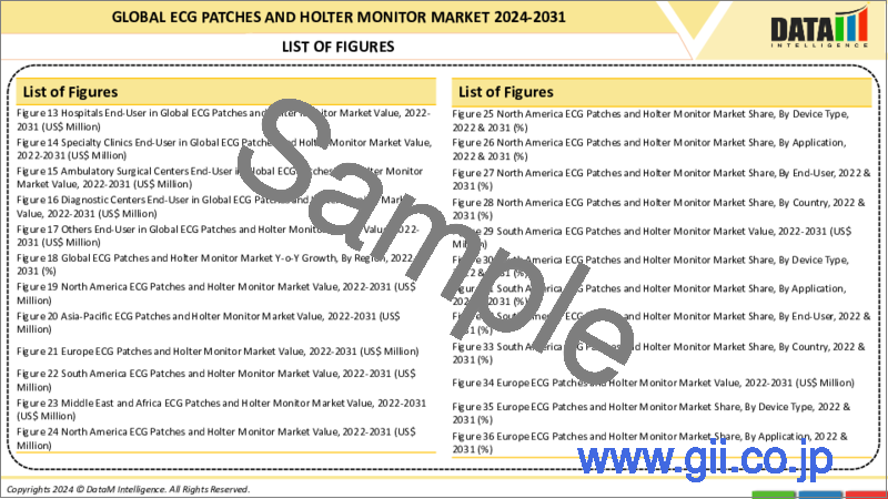 サンプル1：ECGパッチとホルターモニターの世界市場-2023年～2030年