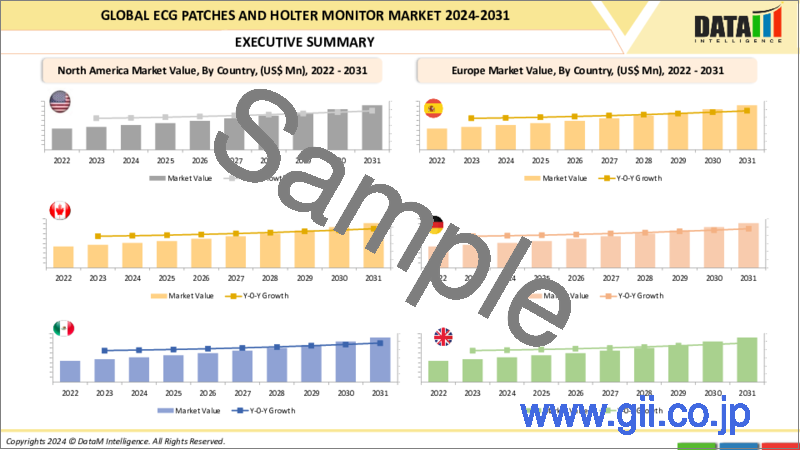 サンプル2：ECGパッチとホルターモニターの世界市場-2023年～2030年