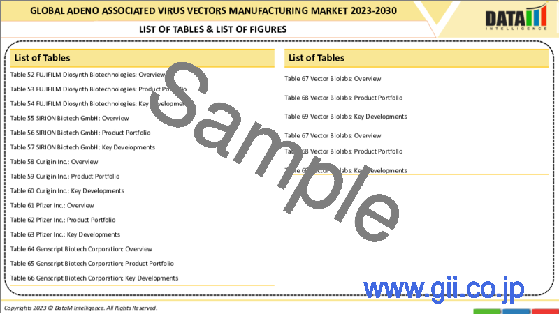 サンプル1：アデノ随伴ウイルスベクター製造の世界市場-2023年～2030年