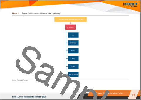 サンプル1：欧州の心臓マイクロカテーテル市場の2028年までの予測-地域別分析-適応症別、エンドユーザー別