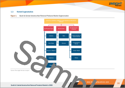 サンプル1：中南米の脱毛製品市場の2028年までの予測- 製品タイプ別、エンドユーザー別、流通チャネル別の地域分析