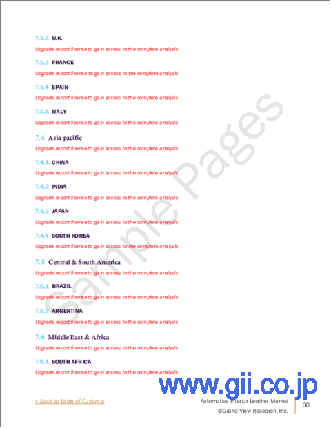 サンプル2：自動車用内装レザーの市場規模、シェア、動向分析レポート：材料別、車両タイプ別、車種別、用途別、地域別、セグメント別予測、2023～2030年