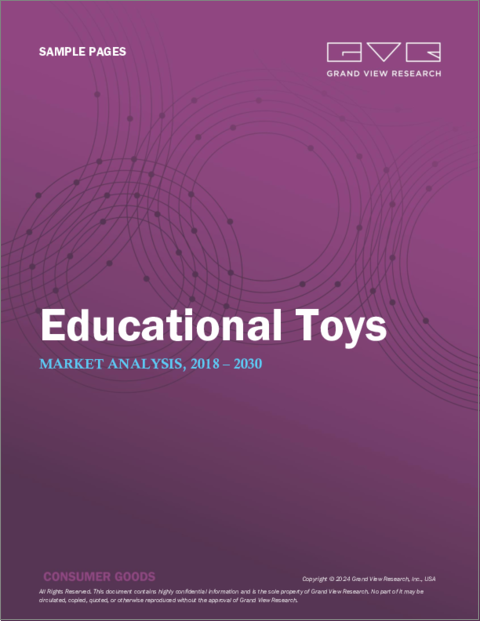 表紙：知育玩具の市場規模、シェア、動向分析レポート：製品別、年齢別、流通チャネル別、地域別、セグメント予測、2023年～2030年
