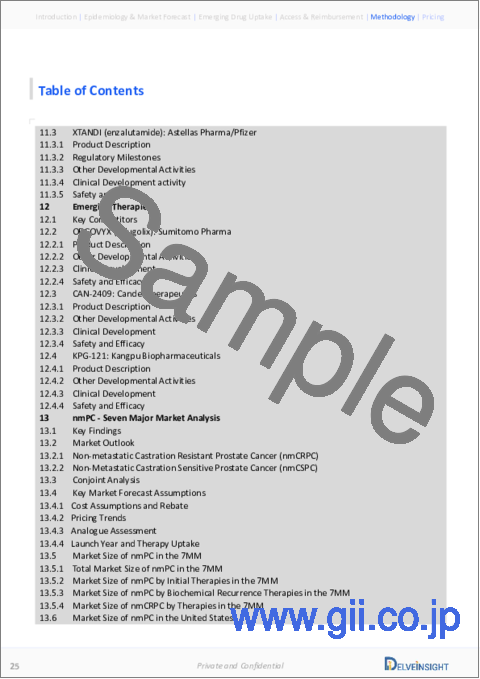 サンプル2：非転移性前立腺がん（nmPC）市場 - 市場の洞察、疫学、市場予測：2032年