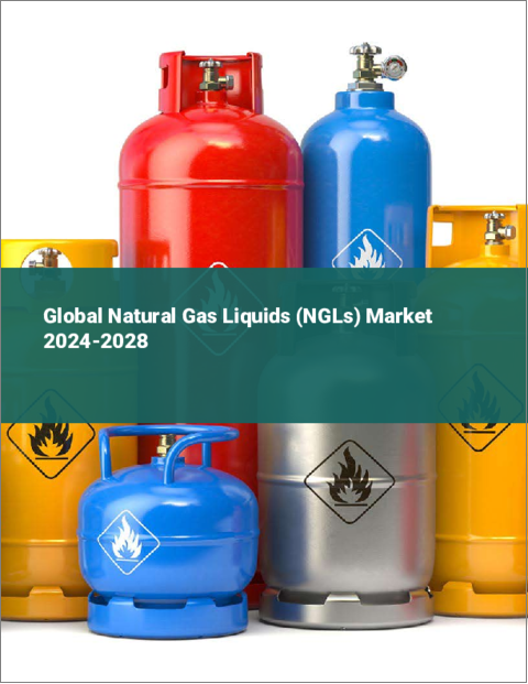 表紙：天然ガス液（NGL）の世界市場 2024-2028
