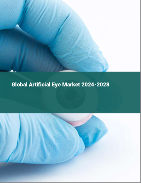 表紙：人工眼球の世界市場 2024-2028