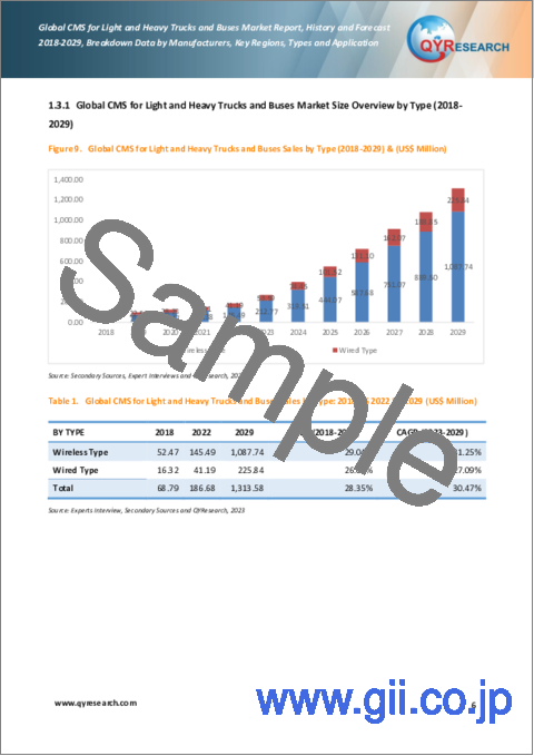 サンプル1：小型・大型トラックおよびバス用CMSの世界市場：2018-2029年