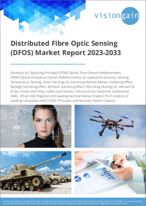 表紙：分散型光ファイバセンシング (DFOS) の世界市場：2023-2033年