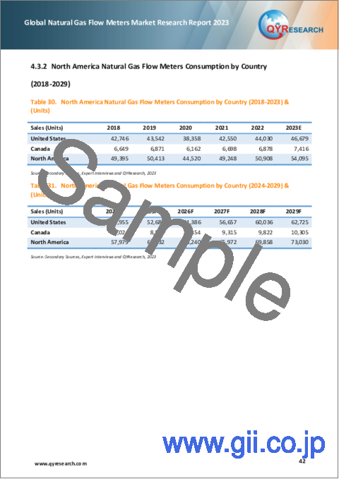 サンプル2：天然ガス流量計の世界市場： 2023年