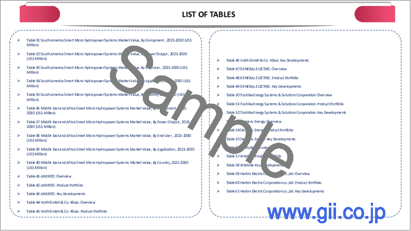 サンプル1：スマートマイクロ水力発電システムの世界市場：2023年～2030年