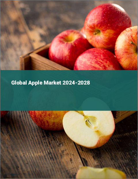 表紙：Appleの世界市場 2024～2028年