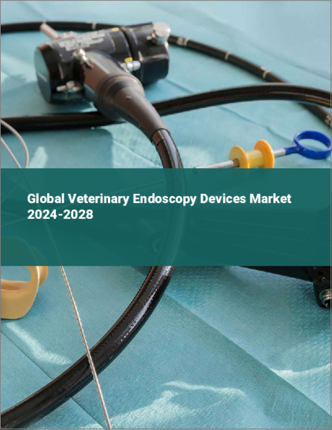 表紙：獣医用内視鏡機器の世界市場 2024-2028