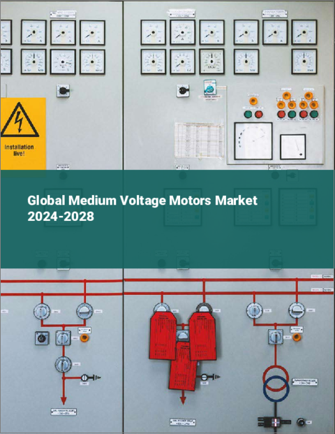 表紙：中電圧モーターの世界市場 2024～2028年