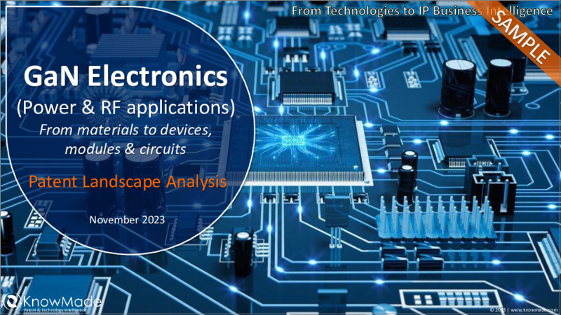 表紙：GaNエレクトロニクスの特許情勢分析：2023年