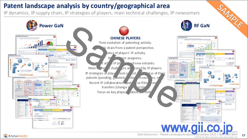 サンプル2：GaNエレクトロニクスの特許情勢分析：2023年