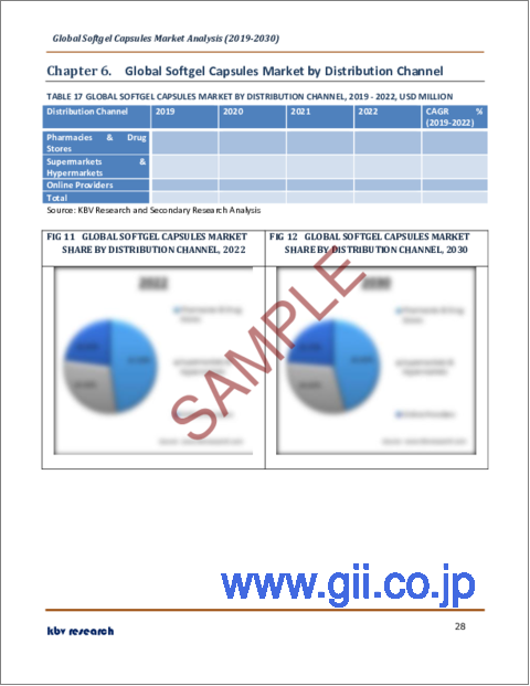 サンプル2：ソフトジェルカプセルの世界市場規模、シェア、産業動向分析レポート：タイプ別、用途別、流通チャネル別、地域別展望と予測、2023年～2030年