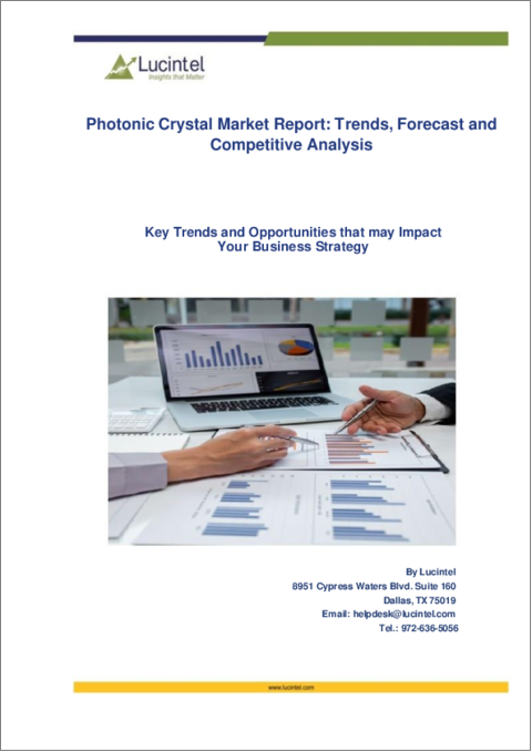 表紙：フォトニック結晶市場レポート：2030年までの動向、予測、競合分析