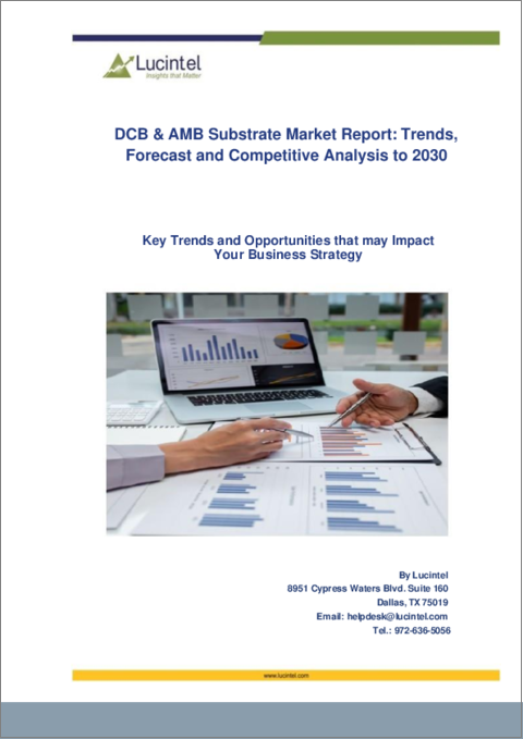 表紙：DCB基板・AMB基板市場レポート：2030年までの動向、予測、競合分析