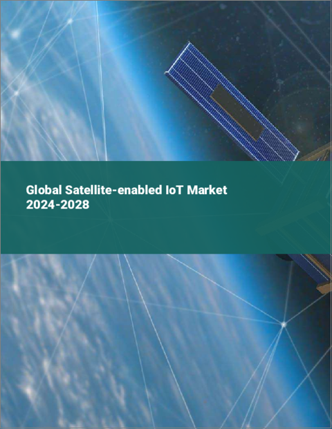 表紙：衛星対応IoTの世界市場 2024-2028