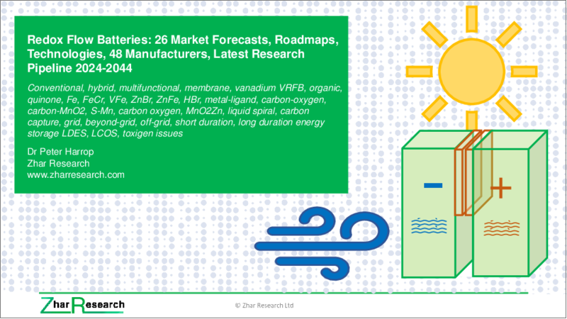表紙：レドックスフロー電池の世界市場：市場予測 (全26件)、ロードマップ、技術、メーカー分析 (48社)、最新研究パイプライン (2024年～2044年)
