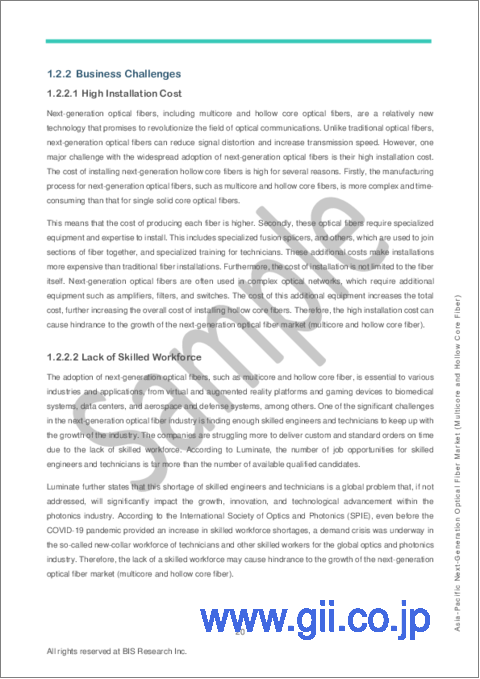サンプル1：アジア太平洋の次世代光ファイバー市場（マルチコアファイバーと中空コアファイバー）：分析と予測（2022年～2031年）