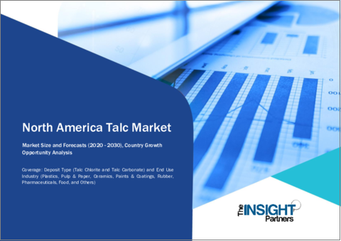 表紙：タルクの北米市場規模・予測、地域別シェア、動向、成長機会分析レポート収録範囲：デポジットタイプ別、用途別
