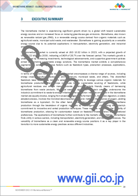 サンプル1：バイオメタンの世界市場 (～2030年)：原料 (エネルギー作物・農業残渣&家畜糞尿・都市廃棄物)・製造プロセス (嫌気性消化・熱ガス化)・最終用途 (輸送・発電・産業)・地域別